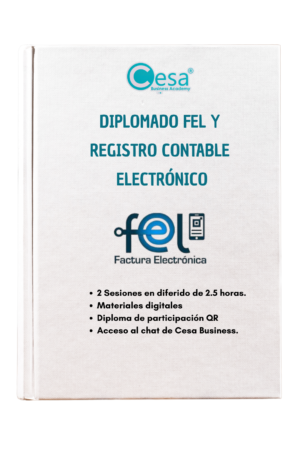 Factura Electrónica y Registro Contable Electrónico