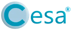 Cesa Business Academy
